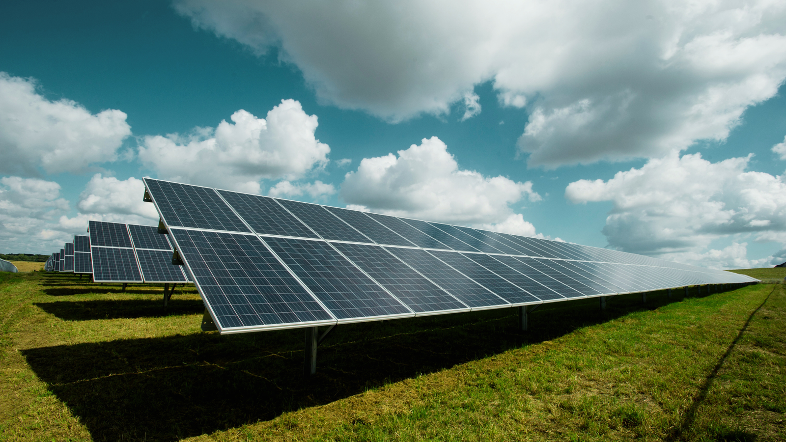 Solar Panel Worker